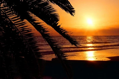 Beach Sunset Wallpapers