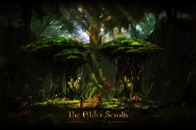 The Elder Scrolls Online Wallpapers 6