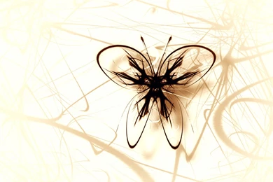 The Butterfly Series V.3 By Explicit content On DeviantArt