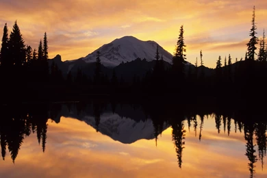 Free HQ Mount Rainier And Tipsoo Lake Washington Wallpapers   Free ...