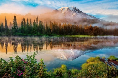 Mount Rainier Desktop Wallpapers 1920x1200