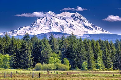 Daniel Bruno: Mt Rainier High Quality Wallpapers