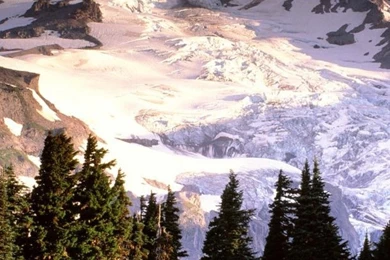 1080x1920 Mount Rainier National Park Galaxy S4 Wallpapers