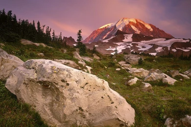 Spray Park Mount Rainier Washington