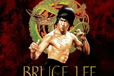 Wallpapers Bruclee Bruce Lee Vector Hd For 1024x768