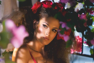 Exotic Beauty HD Desktop Wallpapers : High Definition : Fullscreen ...