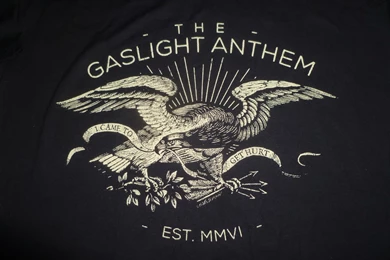 ACIDICA's Site: Gaslight Anthem Live In Edmonton March 16th 2015