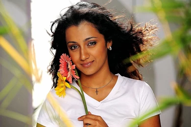 Tamil Actress Hd Wallpapers
