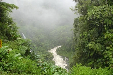 Wallpapers Hd Nature Free High Resolution Widescreen Greenery View ...