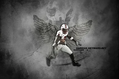 Hope You Like This Oakland Raiders Wallpapers HD Wallpapers As Much ...