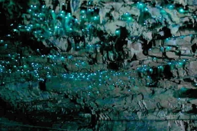 Cave Iphone 6 Wallpapers Items   Share Cave Iphone 6 Wallpapers ...