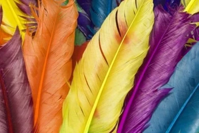 New Hd Wallpapers For Android Phone