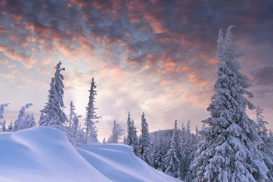 Outstanding Winter Scene Wallpapers