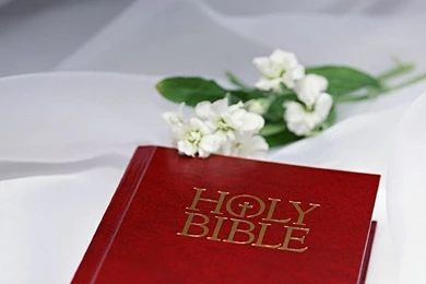 Flower & Holy Bible   Wedding Wallpapers 12   Wallcoo.net