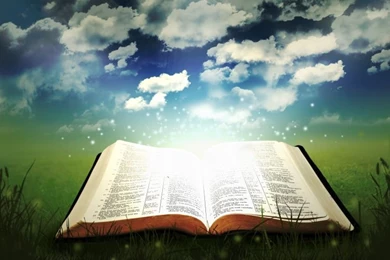 The Excellent Use Of The Law