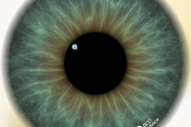 You Asked And We Answered: Get Your Free AppAdvice Retina iPad ...