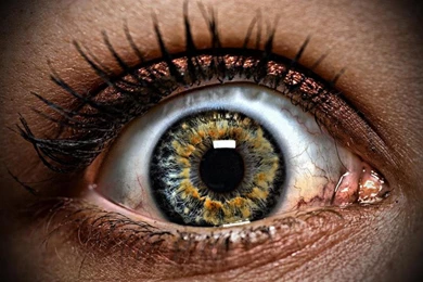 Horror Evil Eyes In Fear Wallpapers 1440x900