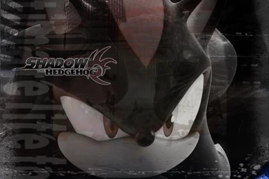 Shadow Of A Hedgehog ./ Desktop ./ Shadow The Hedgehog Game Wallpapers