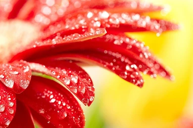 Nature_samsung Wallpapers