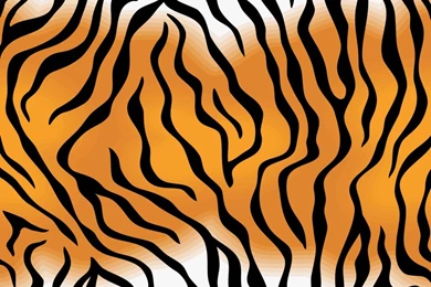 Tiger Skin Pattern PPT Backgrounds   Animals, Pattern   PPT ...