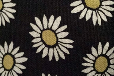 My Wallet From Rue 21   Image