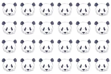 Panda   Image