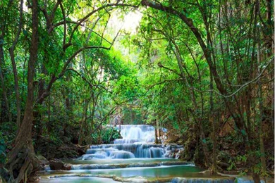 Buy Wallpapers Inc Beach Wall Decor Online At Low Price In India ...