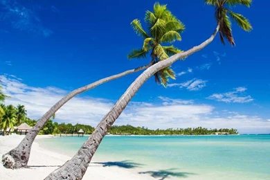 Buy Wallpapers Inc Beach Wall Decor Online At Low Price In India ...