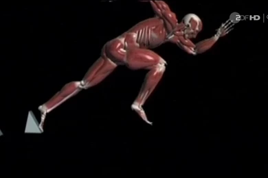 Usain Bolt Sprint Analysis English Subtitle   YouTube