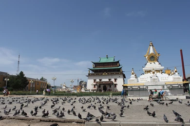 About – Mongolmaxtours Welcome To Mongolia Enjoy Your Traveling