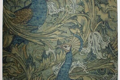 Loving Some Peacocks. Again.   Emily Henderson