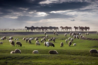 Inner Mongolia.   Pixdaus