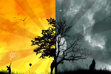 Cool Wallpapers Pics   HD Wallpapers Pretty