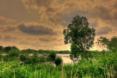 Painted Wild >> HD Wallpaper, Get It Now!