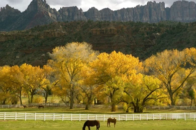 Hd 88058 Country Wallpapers Landcapes   HD Wallpaper Backgrounds