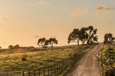 Nature Country Fence Road View iPhone 6 Wallpapers