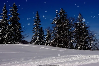Wallpaper, Nature, Desktop, Animated, Snow, Christmas (