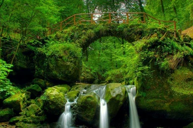 SEE MOST BEAUTIFUL NATURE HD WALLPAPERs…