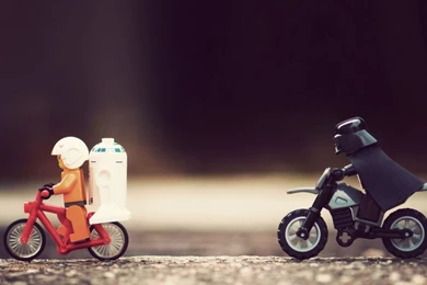 Funny Miniature Cute Wallpapers For Phones