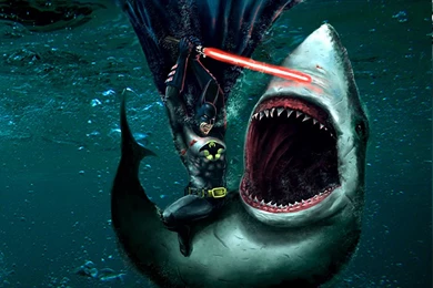 Download Batman Versus White Shark Wallpapers For Samsung Epic
