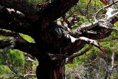 1080 X 1920 Wallpapers Travel. Full HD 1080x1920   Pretty Wallpapers ...