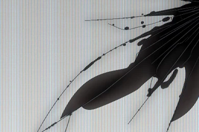 Broken Glass iPhone 5 Wallpapers