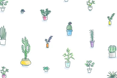 10 Free Phone Wallpapers Downloads   Run To Radiance