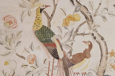 Wallpapers On Pinterest