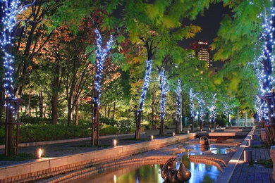 1600x1200 Christmas Lights Display Wallpapers 1600x1200 NO.1 ...