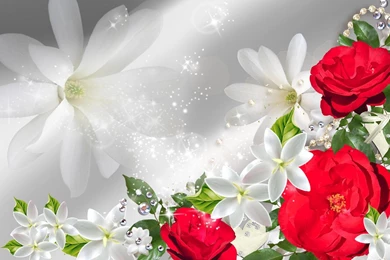 Red Roses On Display >> HD Wallpaper, Get It Now!