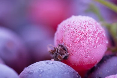 Fruit Display Pictures Wallpapers