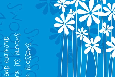 Wallpapers Cute Flowers Drawing 850x650