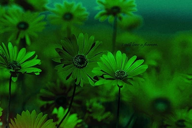 Mobile Best Wallpapers   Wallpapers HD Fine