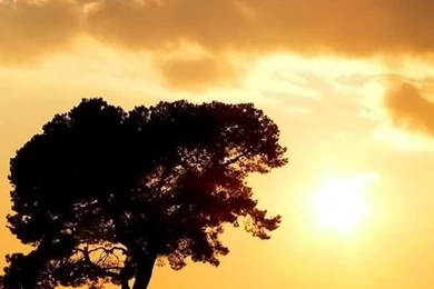 Landscape HD Wallpapers, Desktop Backgrounds, Mobile Wallpapers ...